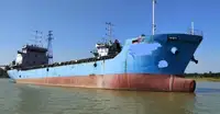 Tàu container rao bán