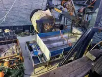 Kim loại phế liệu rao bán