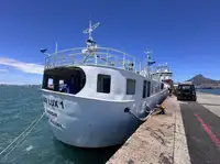 Câu cá Trawler rao bán