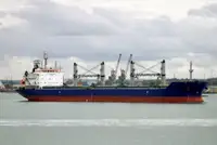 Chuyên chở khối lượng lớn rao bán