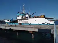 Câu cá Trawler rao bán