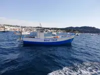 Câu cá Trawler rao bán