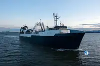 Câu cá Trawler rao bán