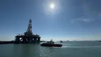 Catamaran rao bán