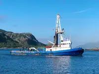 Thuyền kéo rao bán