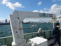 Tàu nghiên cứu rao bán