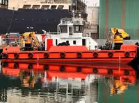 Đa mục đích rao bán