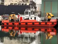 Đa mục đích rao bán