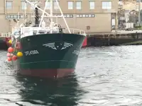 Câu cá Trawler rao bán